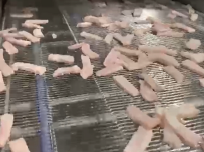 meatstrips coated after drumbreader