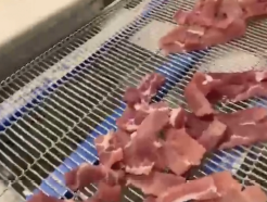 raw meatstrips